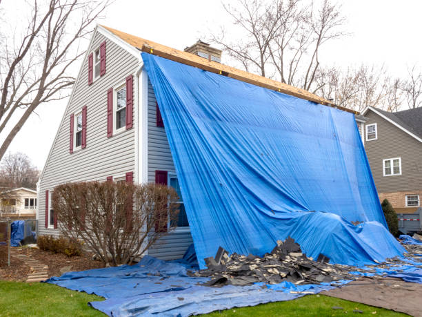 Shed Removal in Wynne, AR